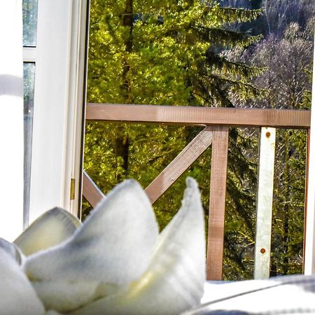 Villa Wilisch Amtsberg Extérieur photo